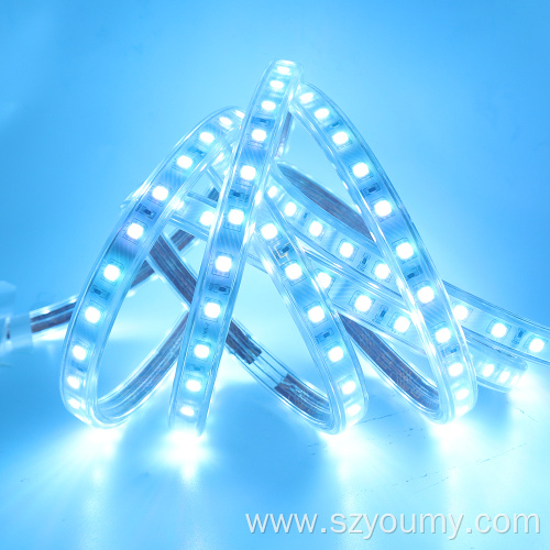 110V-240V 60LED RGB Strip Led Light